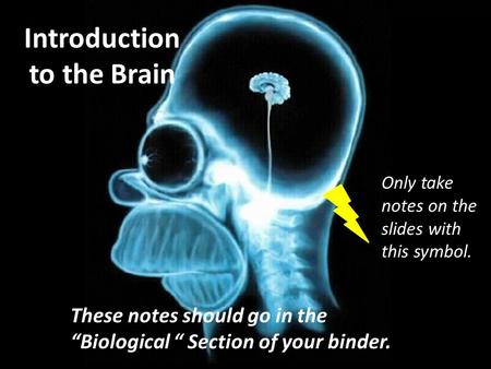 Introduction to the Brain These notes should go in the “Biological “ Section of your binder. Only take notes on the slides with this symbol.