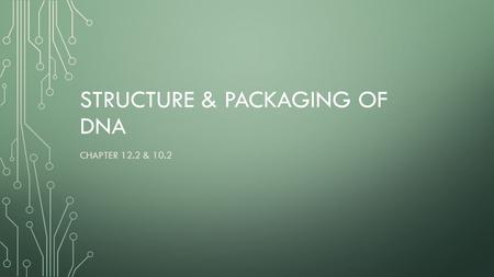 STRUCTURE & PACKAGING OF DNA CHAPTER 12.2 & 10.2.