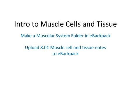Intro to Muscle Cells and Tissue