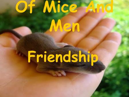Of Mice And Men Friendship. George And Lennie George and Lennie have a very good friendship. They look after each other George is a tall man but is quit.