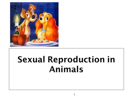 1 Sexual Reproduction in Animals. 2 One of the most important characteristics of living things is their ability to REPRODUCE All living things will eventually.