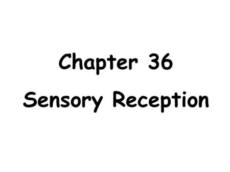 Chapter 36 Sensory Reception.