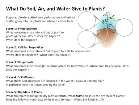 What Do Soil, Air, and Water Give to Plants