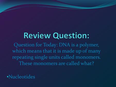 Question for Today: DNA is a polymer, which means that it is made up of many repeating single units called monomers. These monomers are called what? Nucleotides.