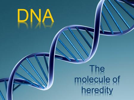 __________ = passing on of characteristics from parents to offspring How?... _____ HEREDITY DNA!