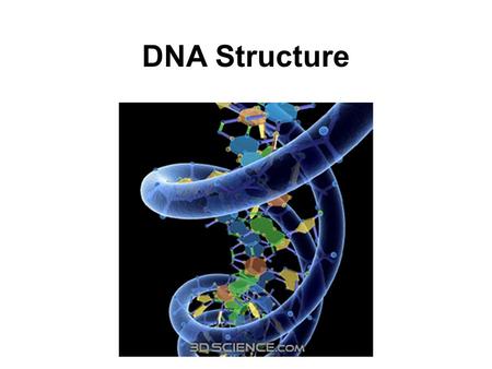 DNA Structure. Watson, Crick and Franklin DNA Structure 3 main components: –Deoxyribose sugar –Phosphate group –Nitrogenous base Antiparallel strands.
