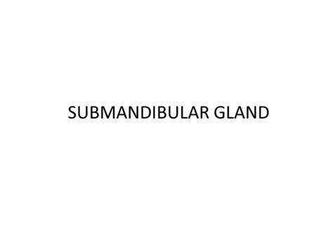 SUBMANDIBULAR GLAND. Extends - from the body of the mandible to the hyoid bone. Contains - Submandilar and sublingual glands - Suprahyoid muscles - Extrinsic.