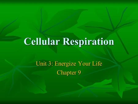 Cellular Respiration Unit 3: Energize Your Life Chapter 9.