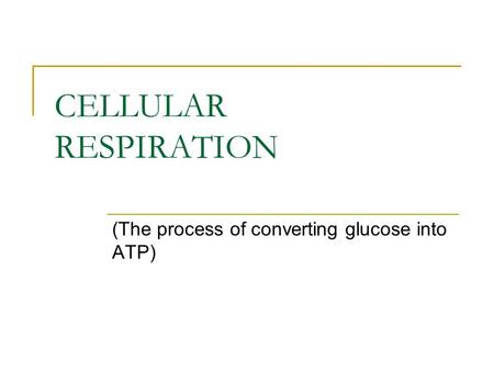 CELLULAR RESPIRATION (The process of converting glucose into ATP)