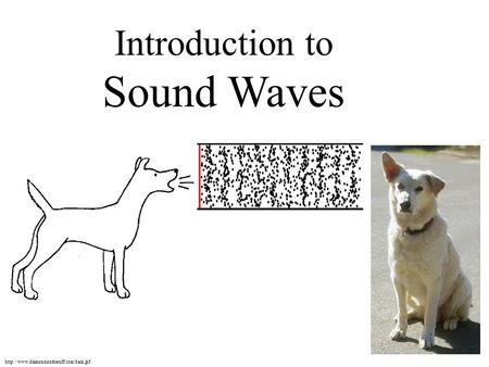 Introduction to Sound Waves http://www.diamondsintheruff.com/bark.gif.