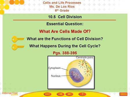 What Are Cells Made Of? 10.5 Cell Division Essential Question: