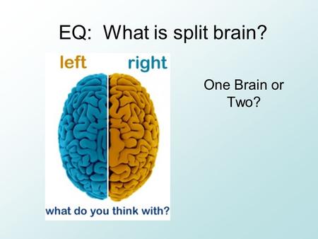 EQ: What is split brain? One Brain or Two?. BR: Read pg.81 and add to the diagram at the bottom Do you think you are more right or left brained? Why?