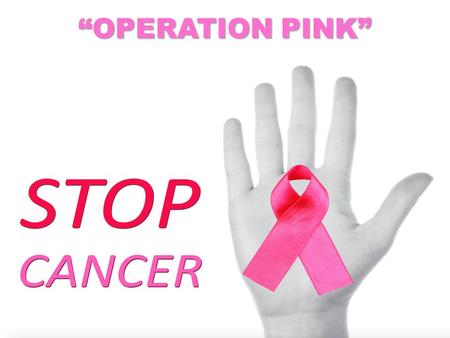 “OPERATION PINK”. Mark 5:24-34 A large crowd followed and pressed around him. 25 And a woman was there who had been subject to bleeding for twelve years.