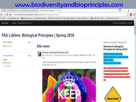 11 www.biodiversityandbioprinciples.com. 12 www.biodiversityandbioprinciples.com Click here to log-in.