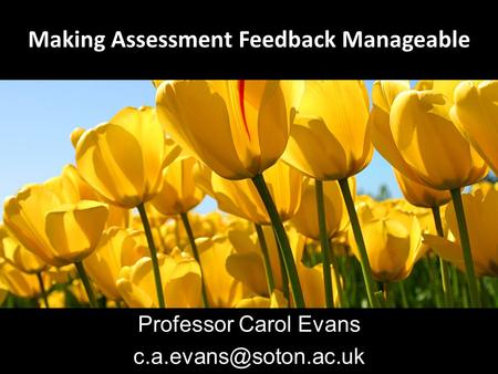 Making Assessment Feedback Manageable Professor Carol Evans