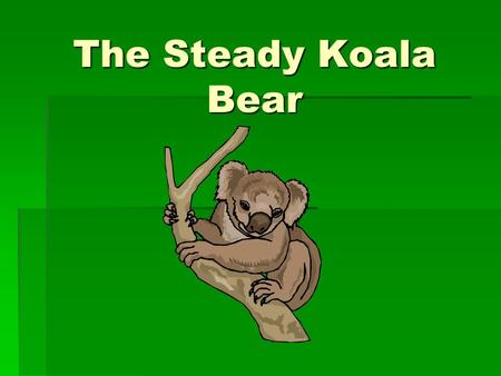 The Steady Koala Bear Most Often:  Asks “how” question  Cooperates with others and makes only group decisions  Performs routine work in a predictable.