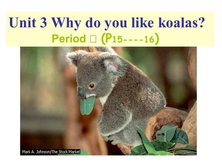 Unit 3 Why do you like koalas? Period Ⅱ (P 15----16 )