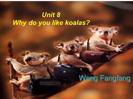 Unit 8 Why do you like koalas? Wang Fangfang Welcome to the zoo.