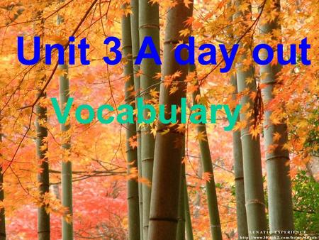 Unit 3 A day out Vocabulary 1.They had a wonderful time in the World Park.( 改为同义句 ) 2.He learns English by himself.( 同上 ) 3.Sandy 同意跟我们一起去. 4. 整个世界都摆在了我们的面前.