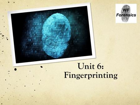 Unit 6: Fingerprinting. Intro to identification Every individual, including identical twins, has a unique fingerprint Type of Evidence: Fingerprints.