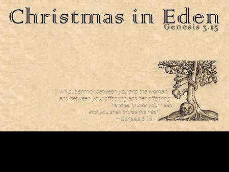 Christmas in Eden Genesis 3.15 “I will put enmity between you and the woman, and between your offspring and her offspring; he shall bruise your head, and.