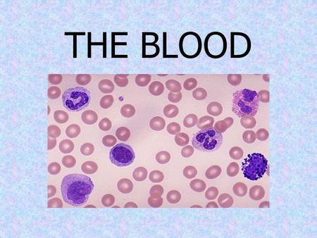 THE BLOOD. BLOOD BASICS is a connective tissue Comprised of approx. ½ liquid, ½ cells is viscous- what’s that? makes up approx. 7% total body weight 8-10.