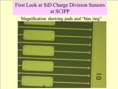 Magnification showing pads and “bias ring” First Look at SiD Charge Division Sensors at SCIPP.