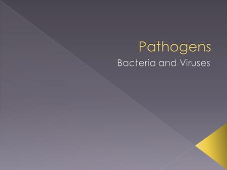 Pathogens Bacteria and Viruses.