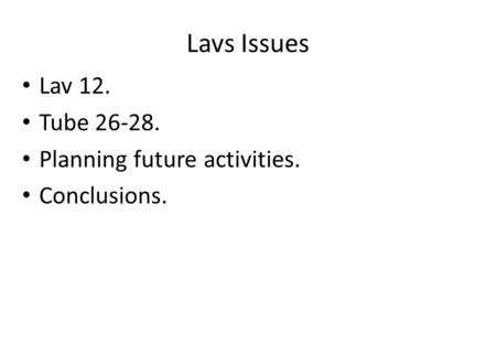 Lavs Issues Lav 12. Tube 26-28. Planning future activities. Conclusions.