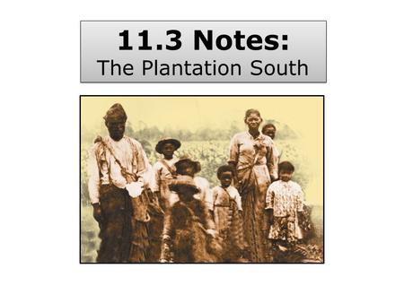 11.3 Notes: The Plantation South 11.3 Notes: The Plantation South.