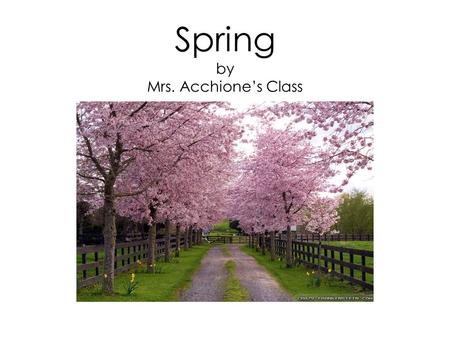 Spring by Mrs. Acchione’s Class. In the Spring, the sun shines.