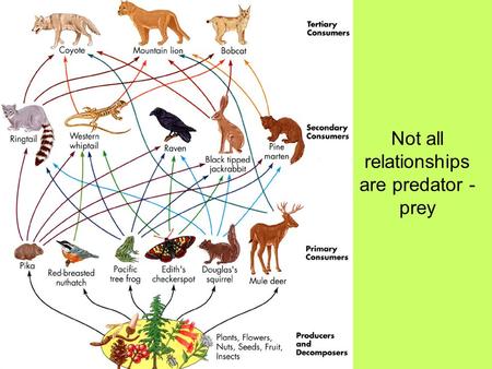 Not all relationships are predator - prey. What is symbiosis? What are the different kinds of symbiosis? Examples SYMBIOSIS.