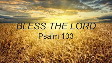 BLESS THE LORD Psalm 103. HOW TO STUDY A PSALM Pray for insight & humility Read it all at once Answer 4 questions.