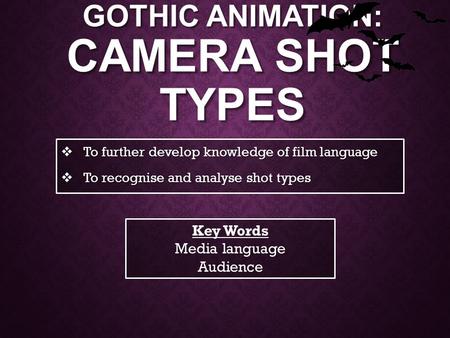 GOTHIC ANIMATION: CAMERA SHOT TYPES  To further develop knowledge of film language  To recognise and analyse shot types Key Words Media language Audience.