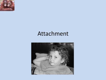 Attachment. So far we have looked at: Learning theory. Pavlov, Skinner. Evolutionary theory. Lorenz, Bowlby. Harlow Secure and Insecure attachment. Mary.