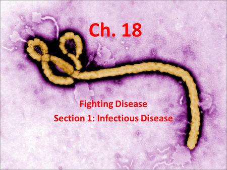 Ch. 18 Fighting Disease Section 1: Infectious Disease.