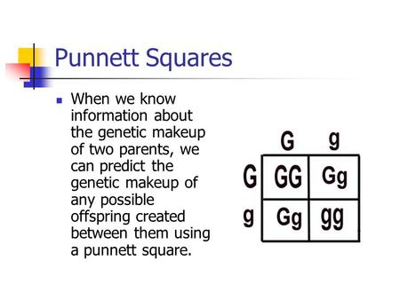 Punnett Squares When we know information about the genetic makeup of two parents, we can predict the genetic makeup of any possible offspring created between.