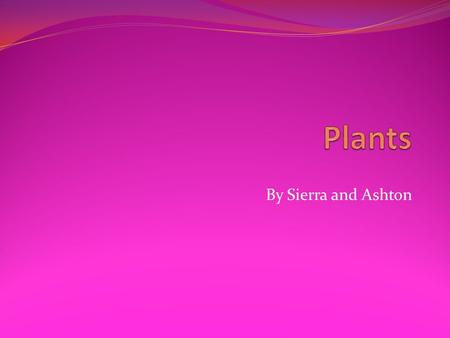 By Sierra and Ashton. Plant Needs A plant needs water, space, air, sunlight, and food.