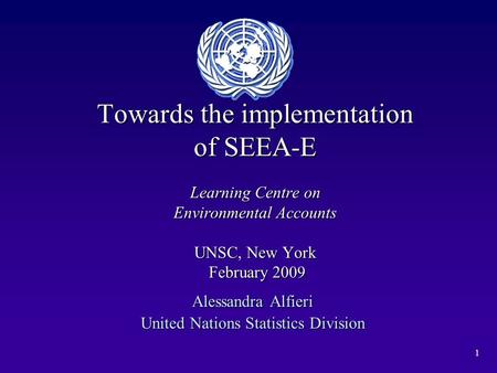 1 Towards the implementation of SEEA-E Learning Centre on Environmental Accounts UNSC, New York February 2009 Alessandra Alfieri United Nations Statistics.
