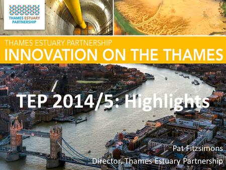 TEP 2014/5: Highlights Pat Fitzsimons Director, Thames Estuary Partnership.