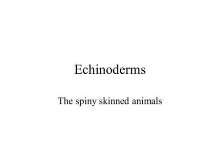 Echinoderms The spiny skinned animals. Introduction Echinodermata are all marine, triploblastic unsegmented coelomates Phylum has 3 unique features: –