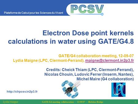 Plateforme de Calcul pour les Sciences du Vivant  Lydia Maigne GATE/G4 meeting collaboration - 12/09/07 - Hebden Bridge 1 Electron.