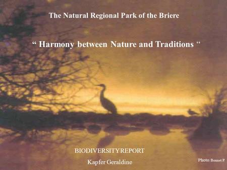 The Natural Regional Park of the Briere Harmony between Nature and Traditions BIODIVERSITY REPORT Kapfer Geraldine Photo : Bonnet P.