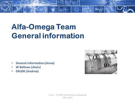 Alfa-Omega Team General information General information (Anna) W Bellows (Alain) DN200 (Andrea) A.A.A. - TE-MSC-CMI Section meeting Feb 19th, 2013.