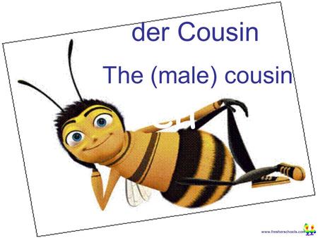 Www.fresherschools.com Ben der Cousin The (male) cousin.