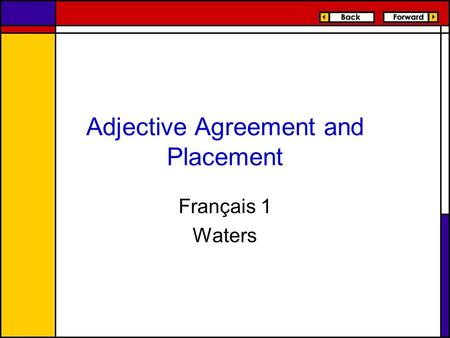 Adjective Agreement and Placement
