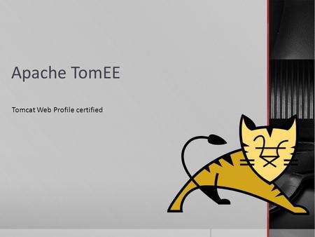 Apache TomEE Tomcat Web Profile certified TomEE gesprochen Tommy.