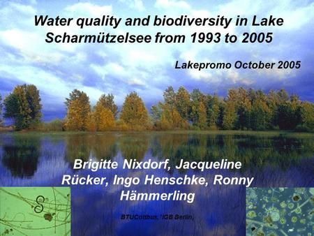 Brigitte Nixdorf, Jacqueline Rücker, Ingo Henschke, Ronny Hämmerling BTUCottbus, 1 IGB Berlin, Water quality and biodiversity in Lake Scharmützelsee from.