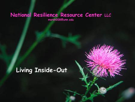 National Resilience Resource Center LLC Living Inside-Out.