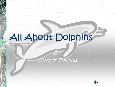 All About Dolphins By: Christy Thomas.